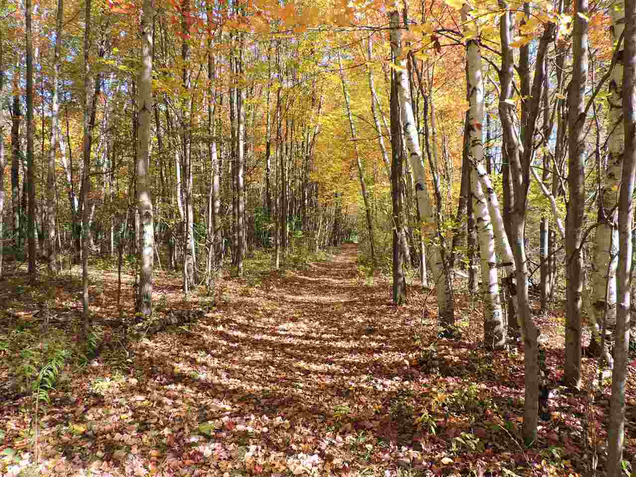 2860 North Garfield Road Pinconning, MI 48650 - Photo 32 of 47 Gallery Image 32