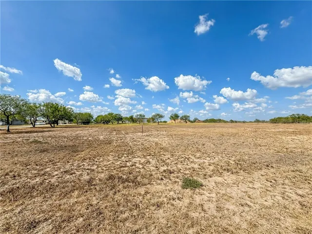 a view of a lake in middle of forest