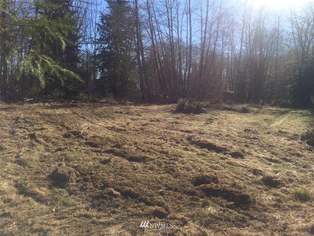 392 August Road Onalaska, WA 98570 - Photo 3 of 14 Gallery Image 3