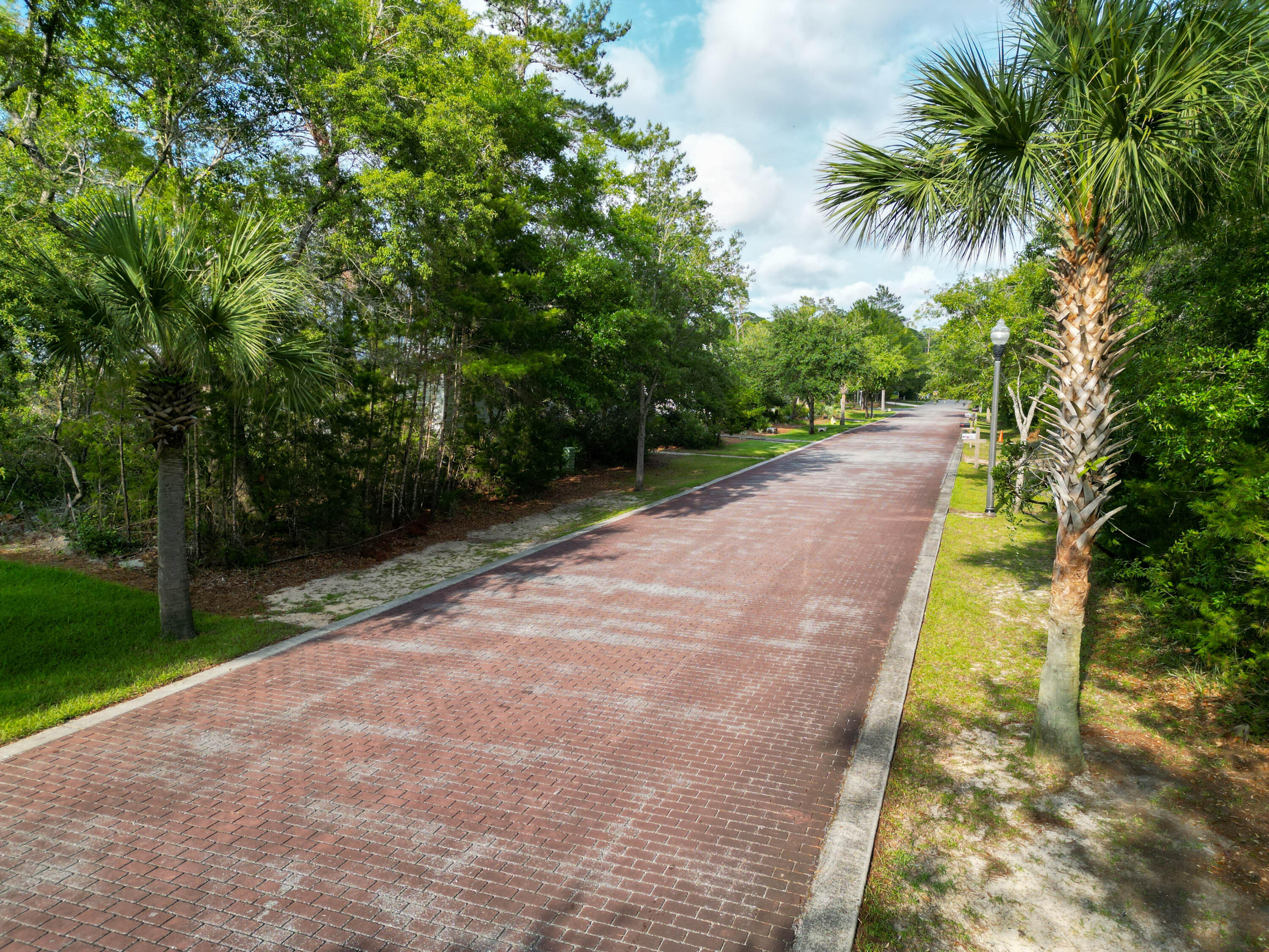 Lot 22 Devlieg Avenue Santa Rosa Beach, FL 32459 - Photo 1 of 6 a view of a yard with plants and a trees