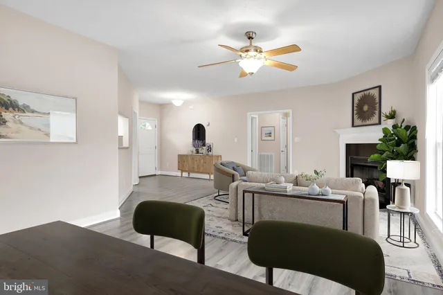 a living room with furniture potted plant and a lamp