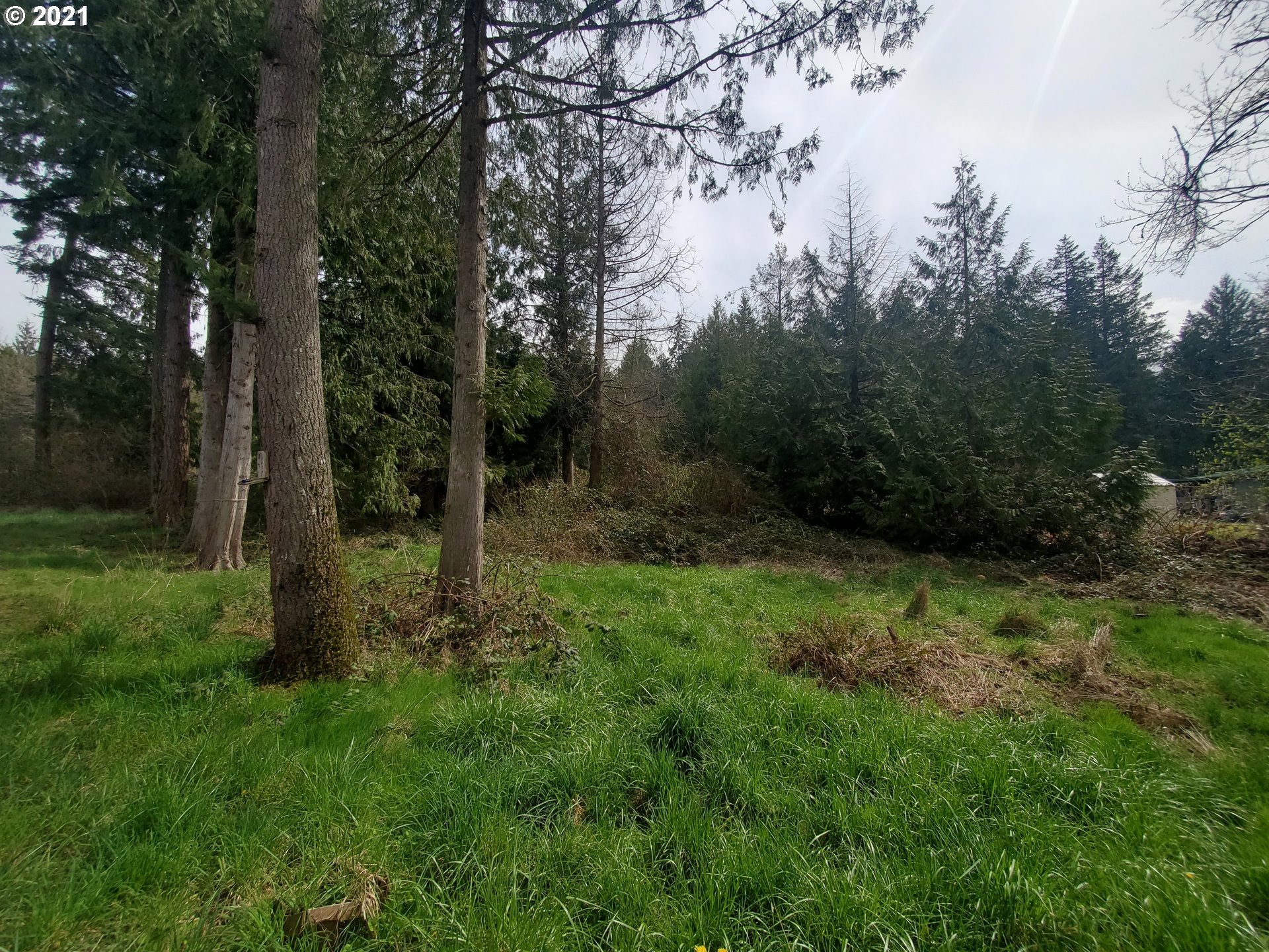 30666 South Oswalt Road Colton, OR 97017 - Photo 11 of 25