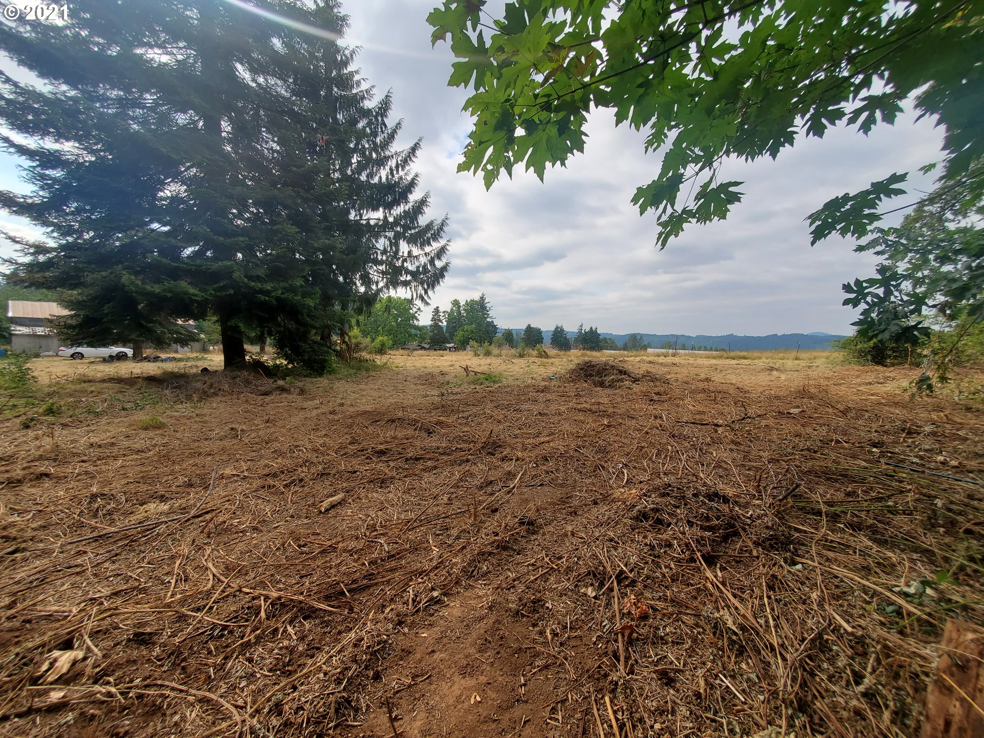 30666 South Oswalt Road Colton, OR 97017 - Photo 20 of 25