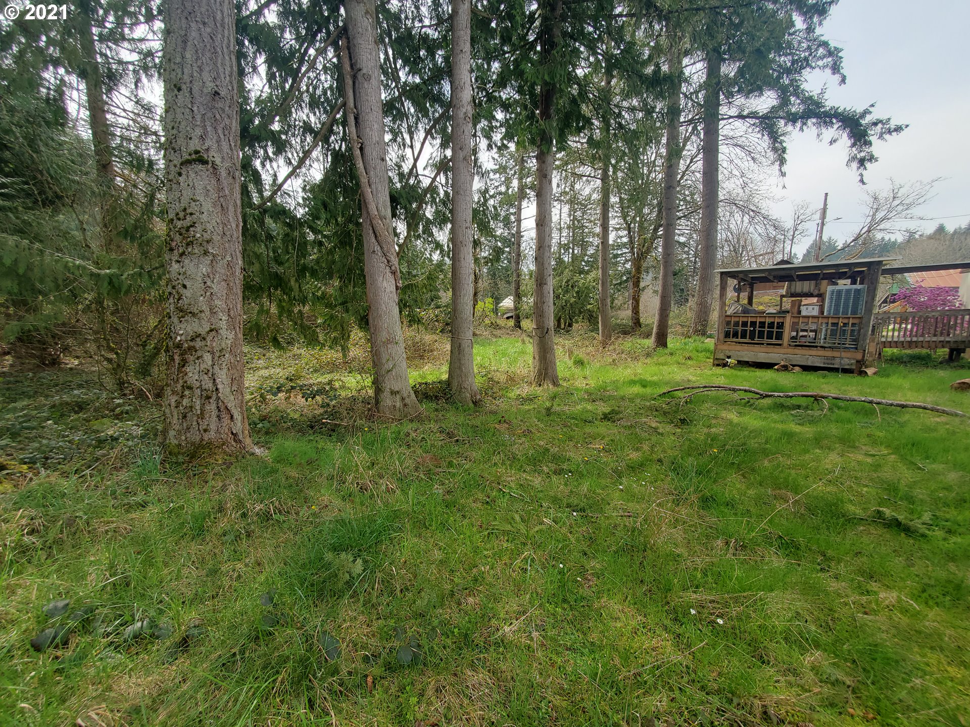 30666 South Oswalt Road Colton, OR 97017 - Photo 4 of 25