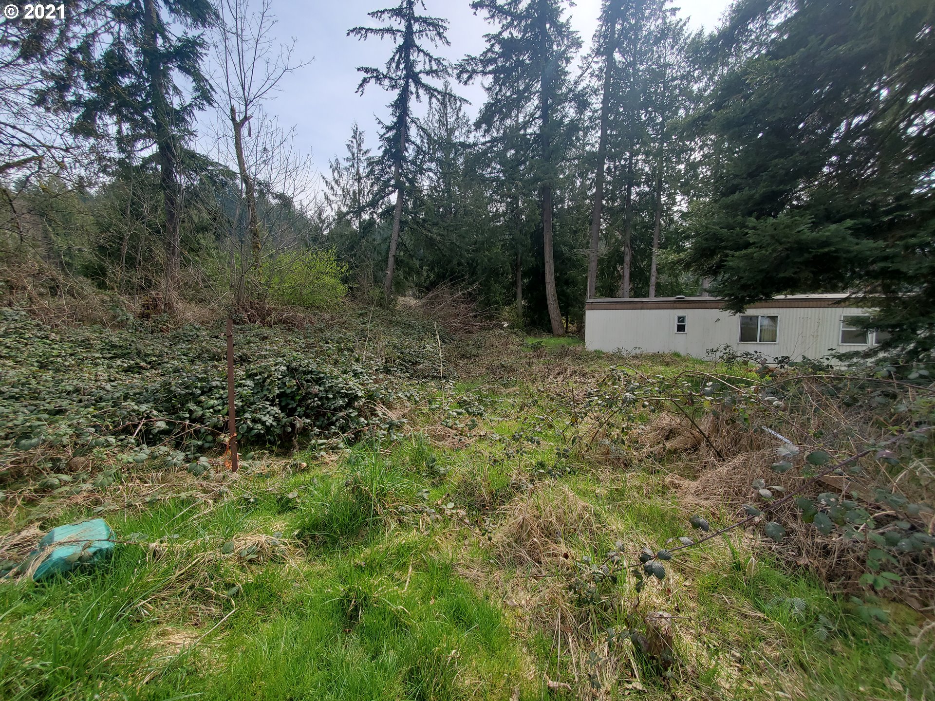 30666 South Oswalt Road Colton, OR 97017 - Photo 5 of 25