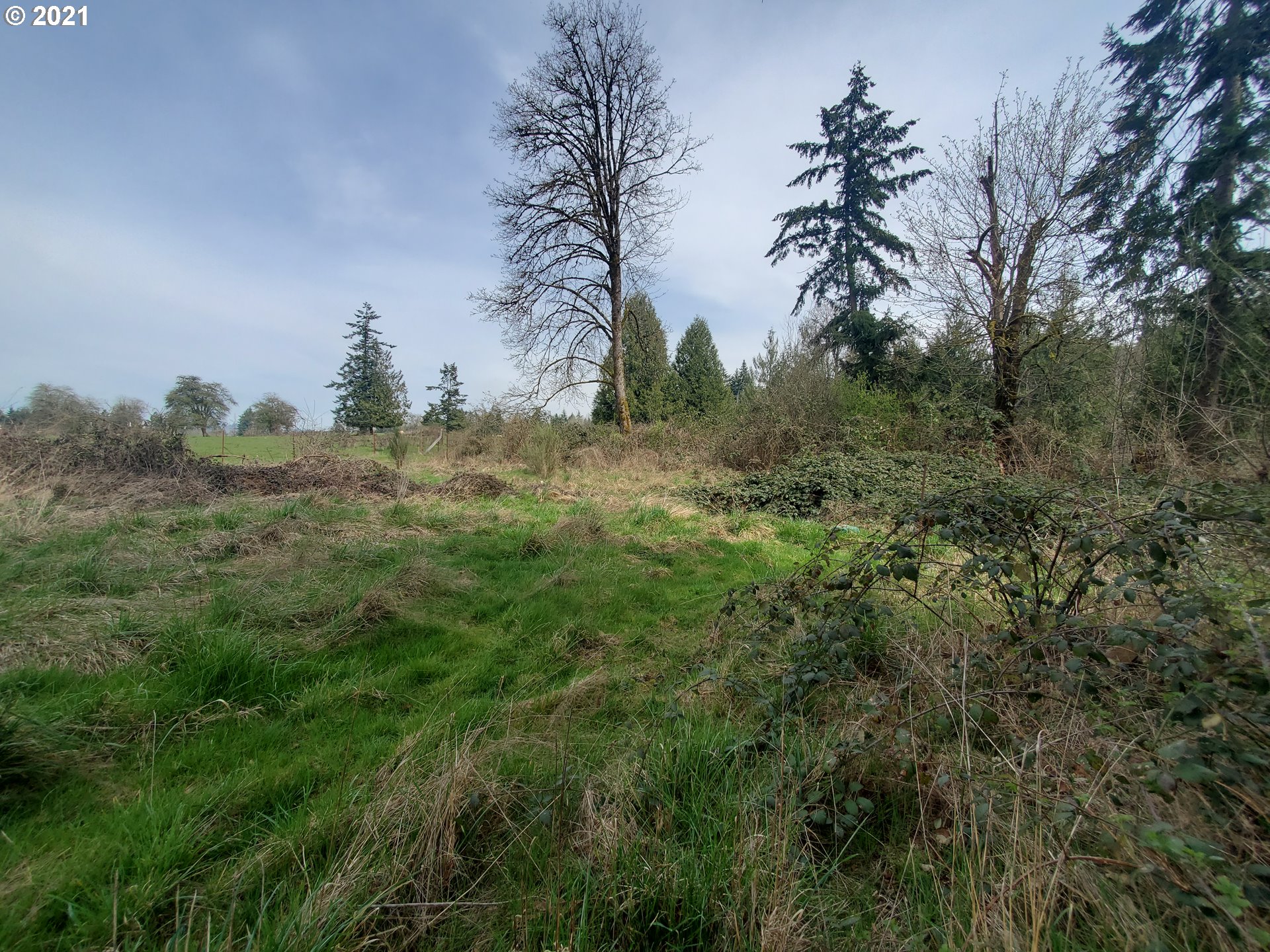 30666 South Oswalt Road Colton, OR 97017 - Photo 6 of 25