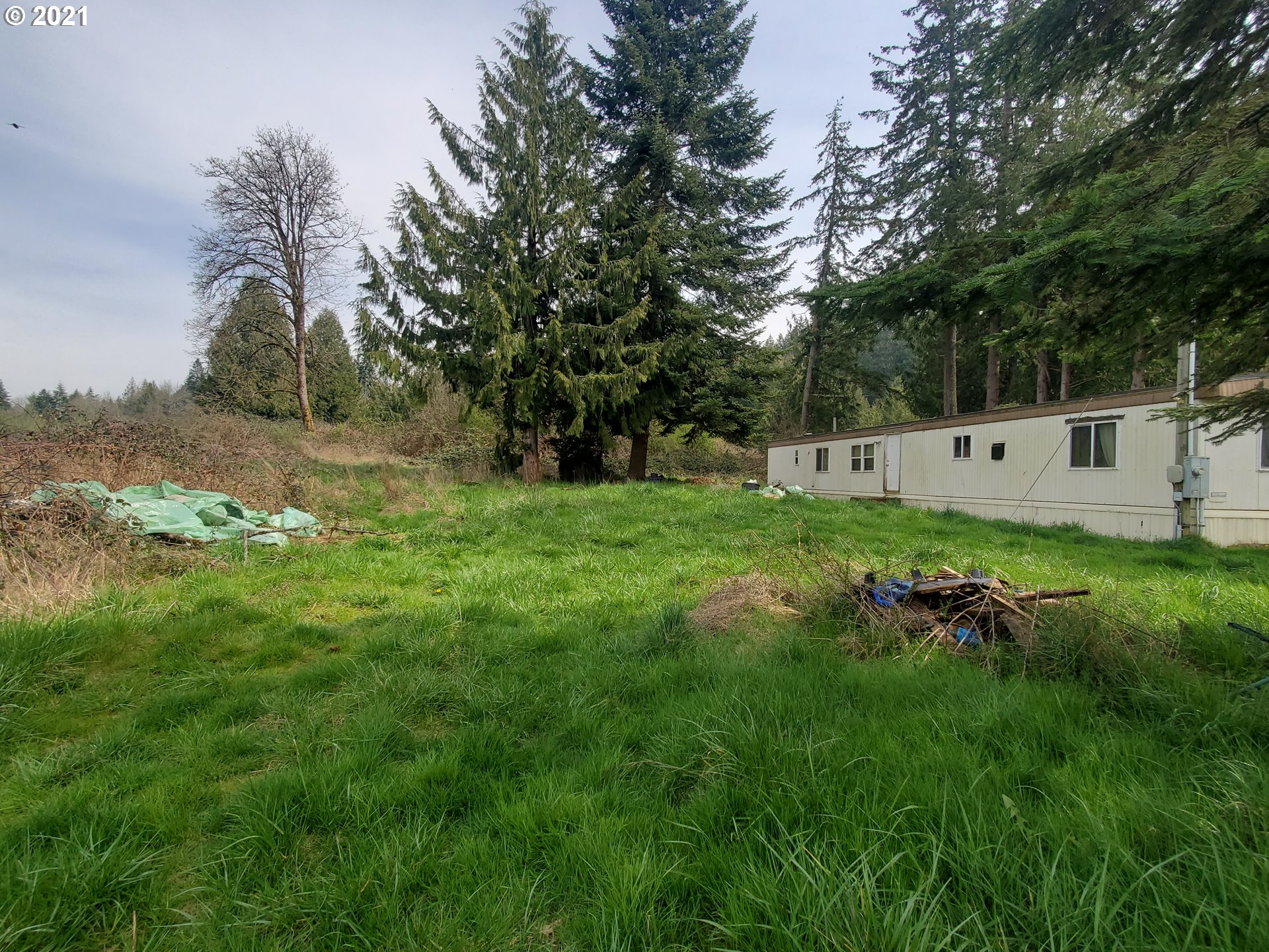 30666 South Oswalt Road Colton, OR 97017 - Photo 7 of 25