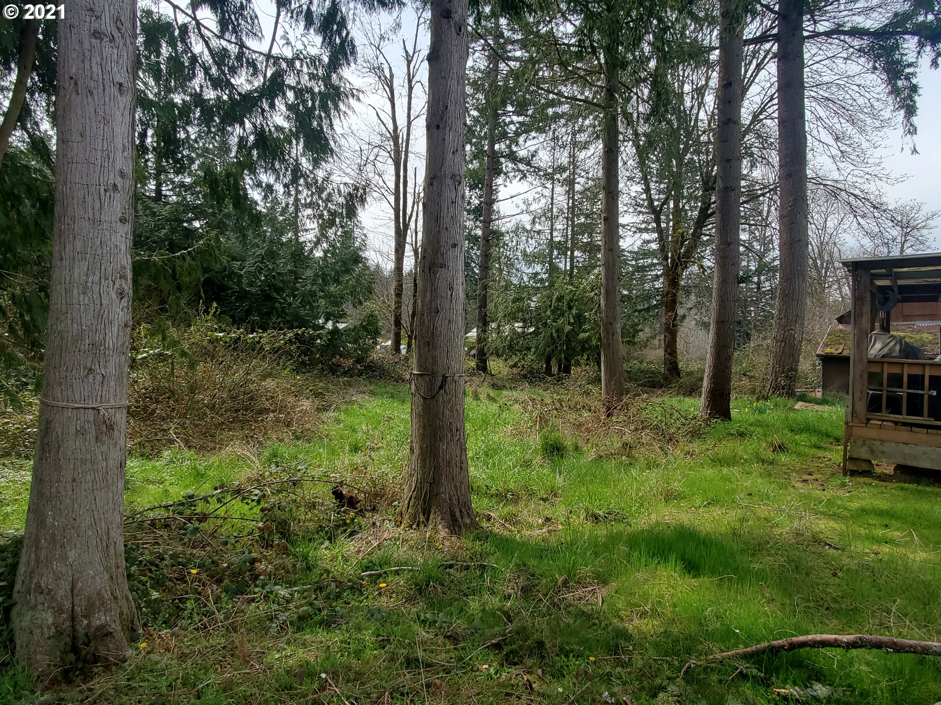 30666 South Oswalt Road Colton, OR 97017 - Photo 8 of 25