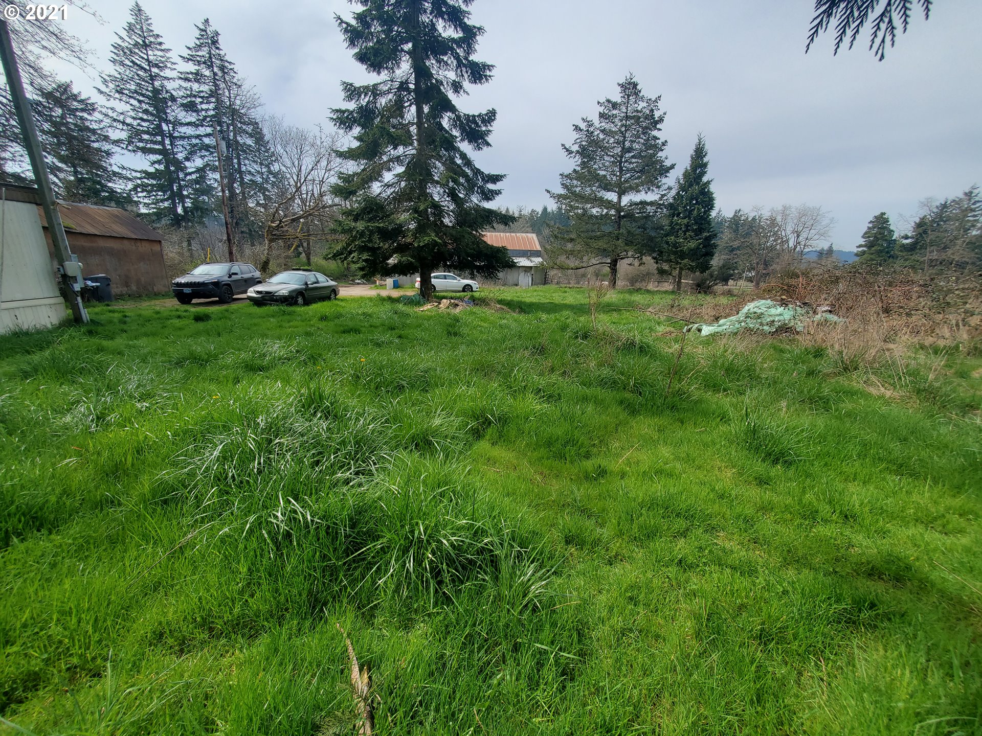 30666 South Oswalt Road Colton, OR 97017 - Photo 10 of 25