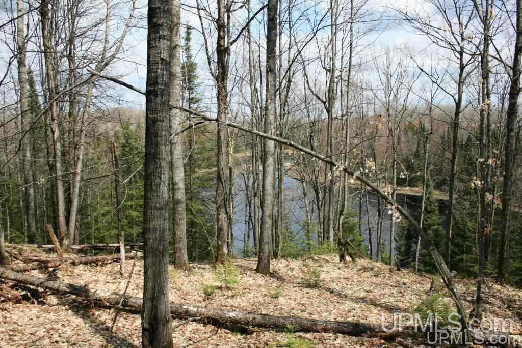Tbd Stateline Lake Road Marenisco, MI 49947 - Photo 5 of 17