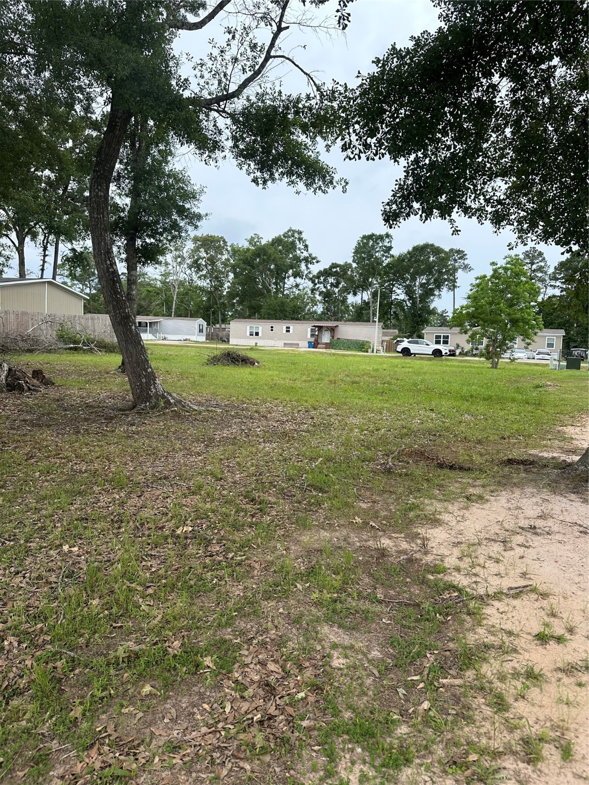 672 Wexford Drive Conroe, TX 77303 - Photo 3 of 10 a view of a garden with a tree