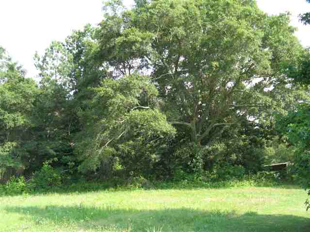 309 Hogg Road Williamston, SC 29697 - Photo 8 of 9