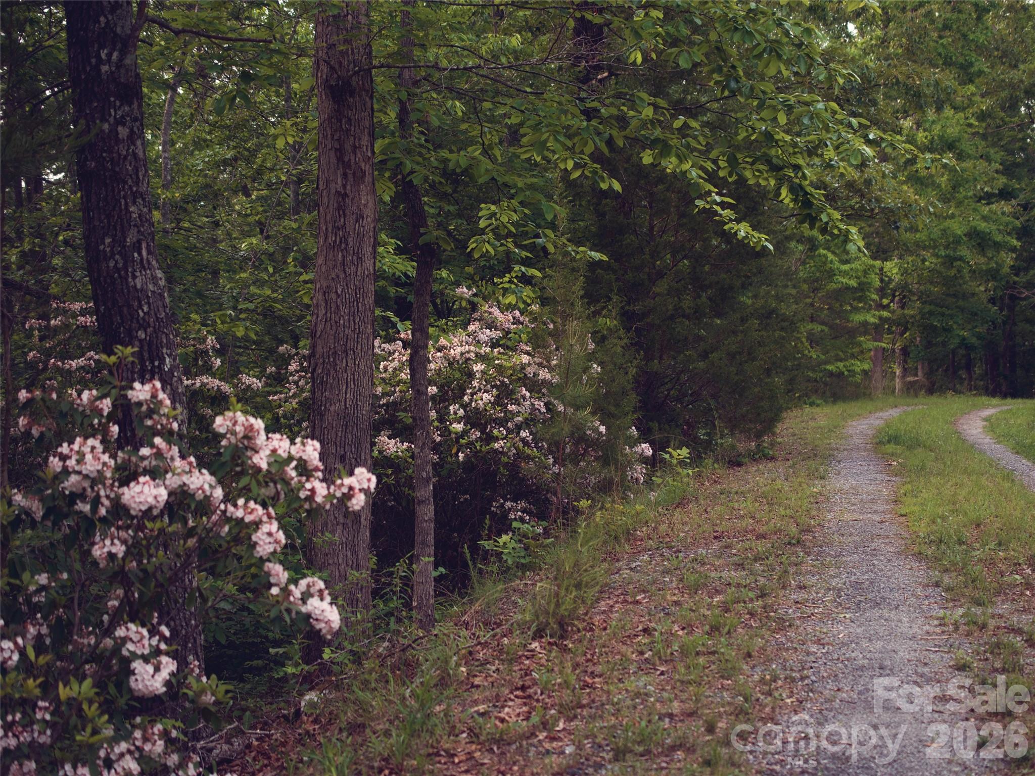 0 Shady Bark Lane, Unit 43 & #44 Rutherfordton, NC 28139 - Photo 35 of 38