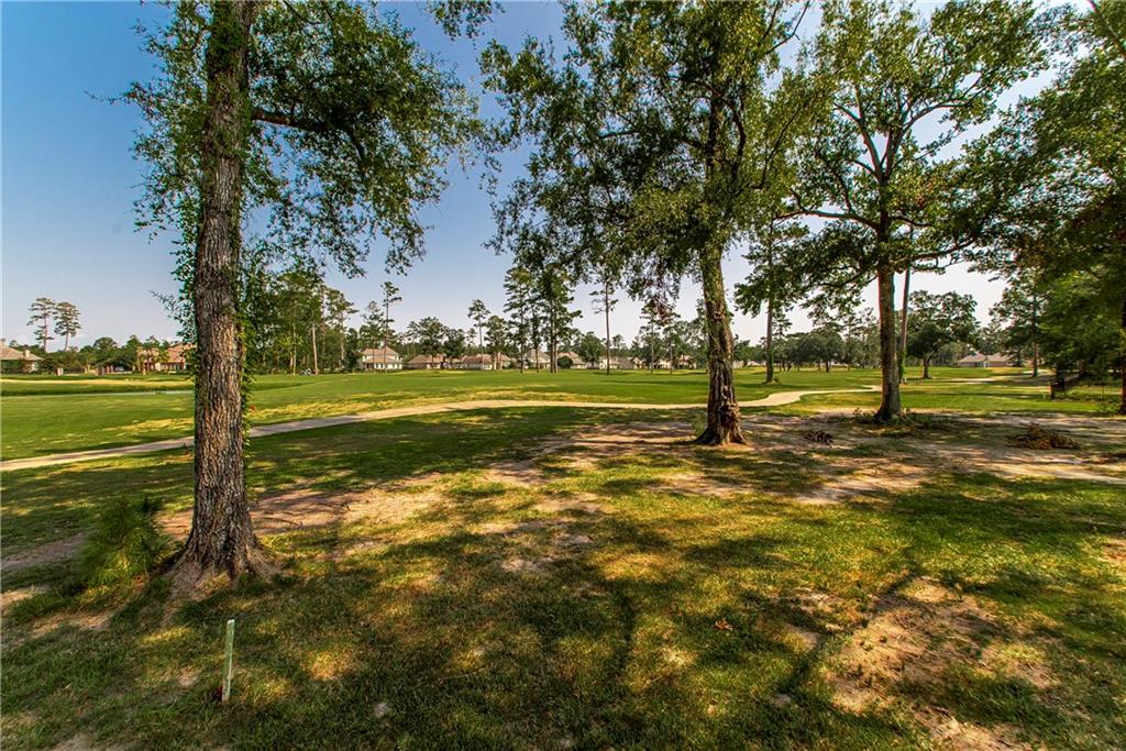 30707 Wild Iris Way Springfield, LA 70462 - Photo 8 of 11 Gallery Image 8