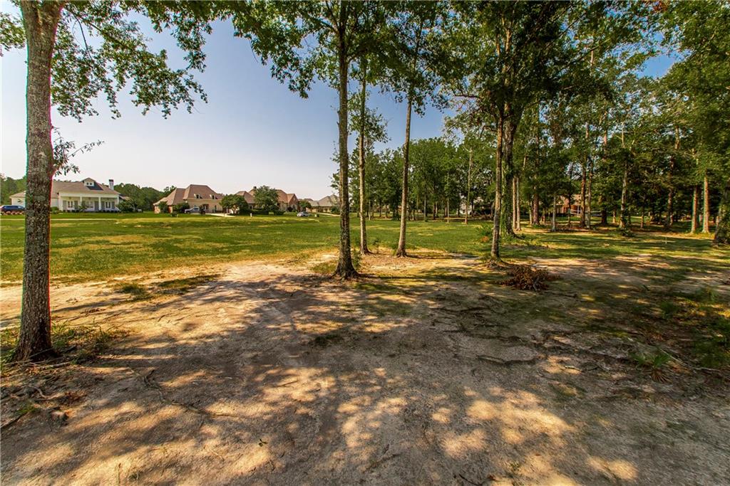 30707 Wild Iris Way Springfield, LA 70462 - Photo 10 of 11 Gallery Image 10