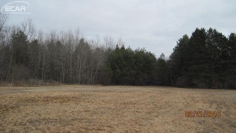 20516247-2.JPG