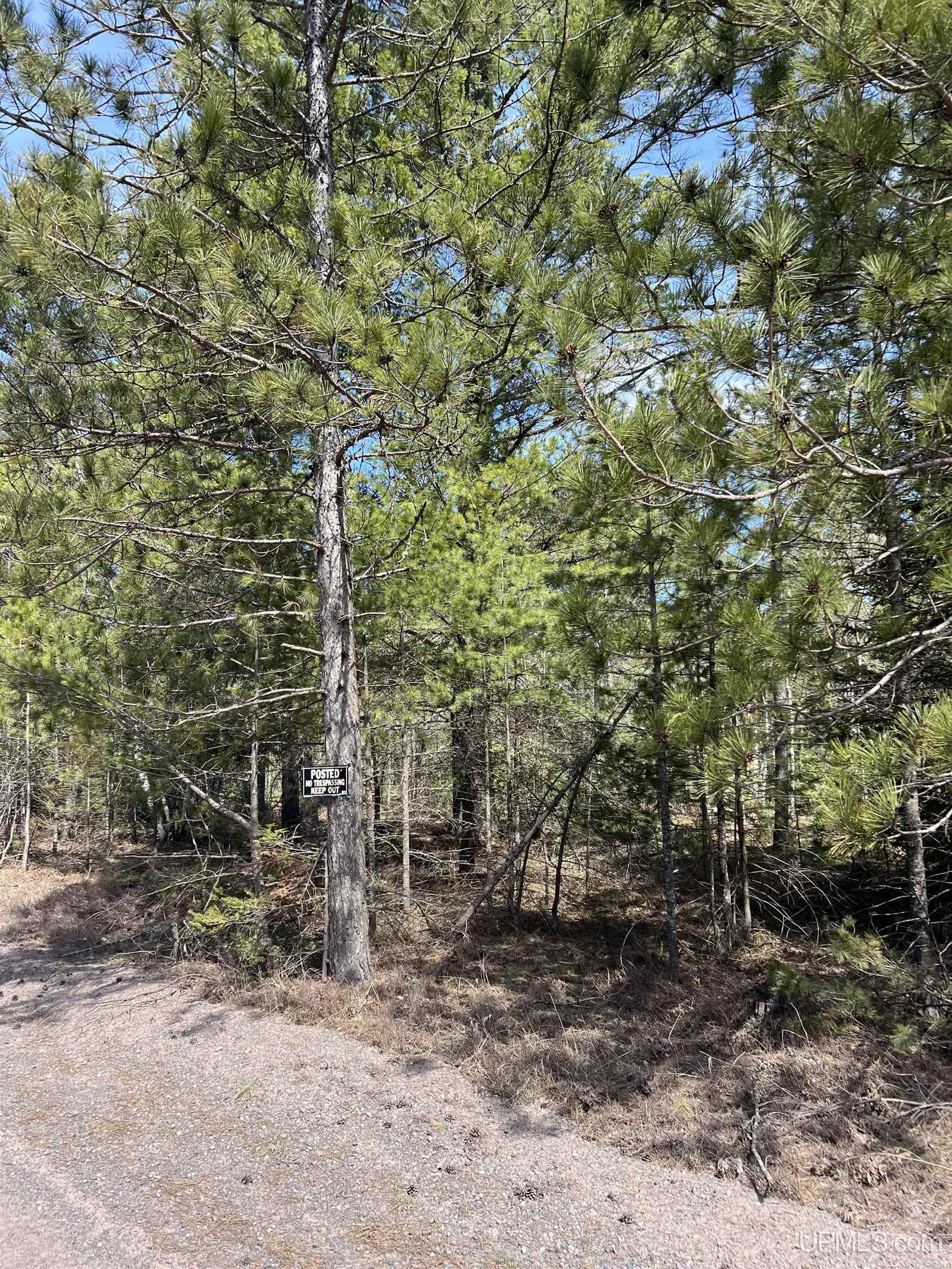 50428 Louis Point Road Lake Linden, MI 49945 - Photo 19 of 46