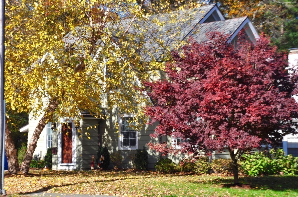 36 Cleveland Road Wellesley, MA 02481 - Photo 15 of 15
