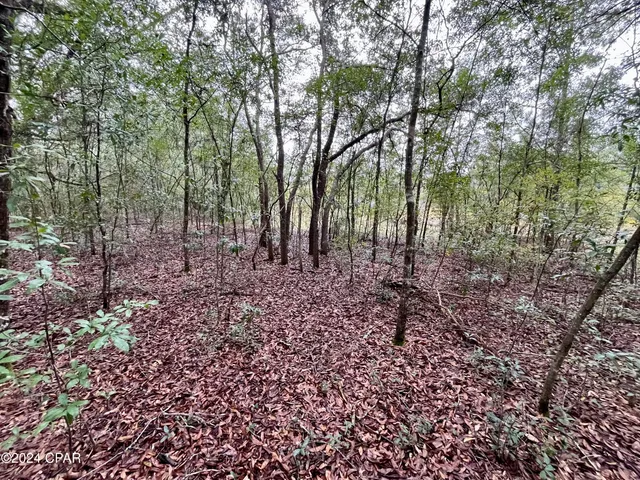 $9,500 | Lot 12 Janet Circle, Chipley, FL 32428