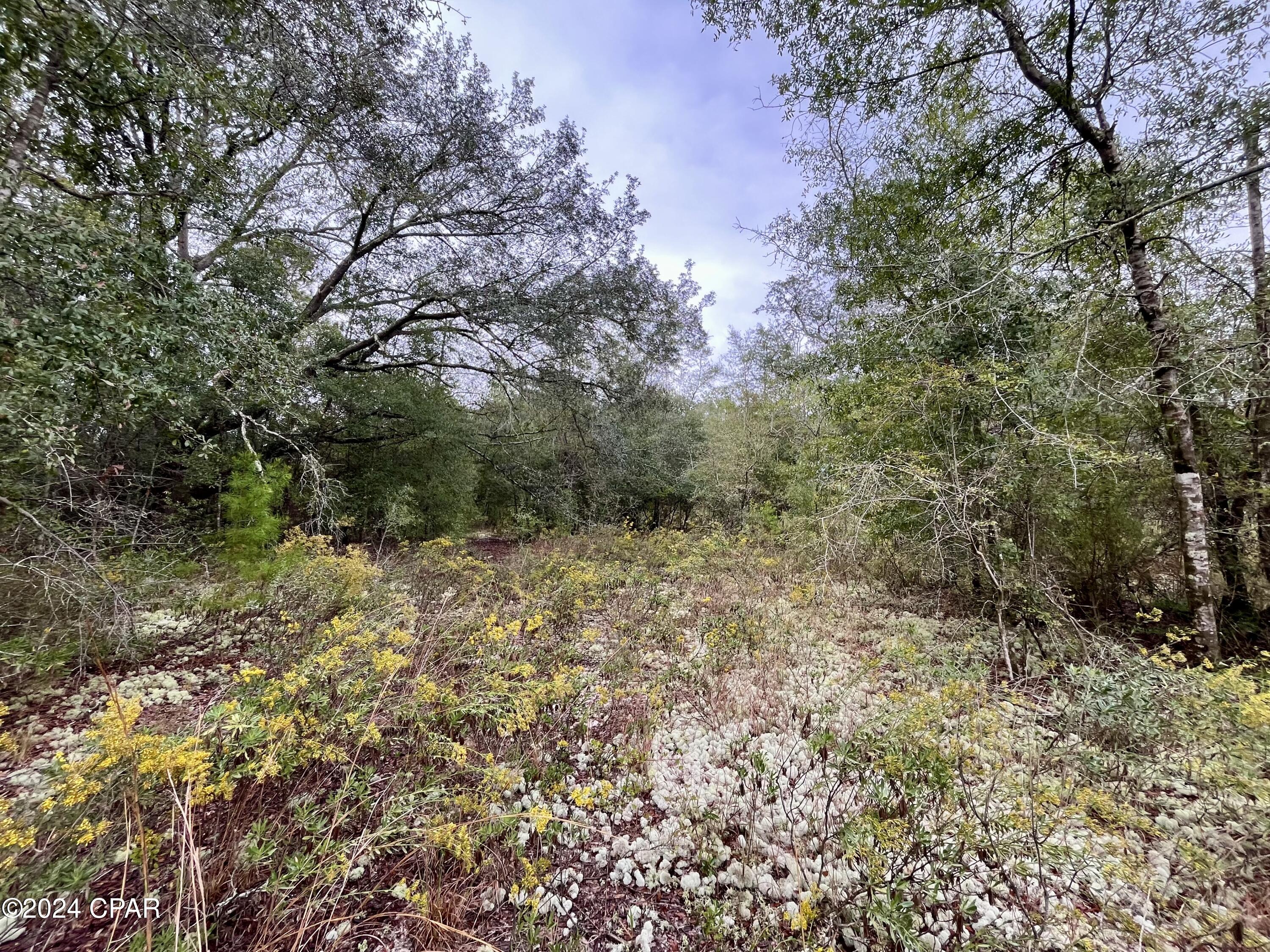 Lot 12 Janet Circle Chipley, FL 32428 - Photo 12 of 45