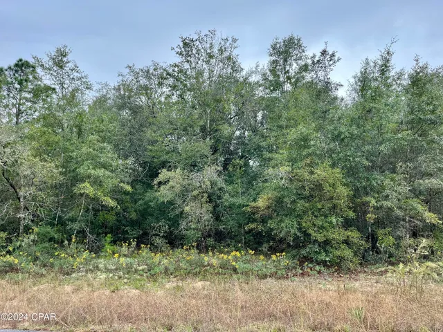 $9,500 | Lot 12 Janet Circle, Chipley, FL 32428
