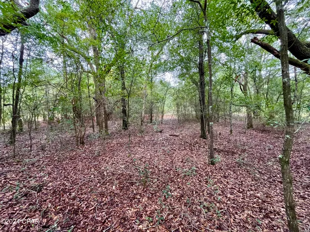 $9,500 | Lot 12 Janet Circle, Chipley, FL 32428