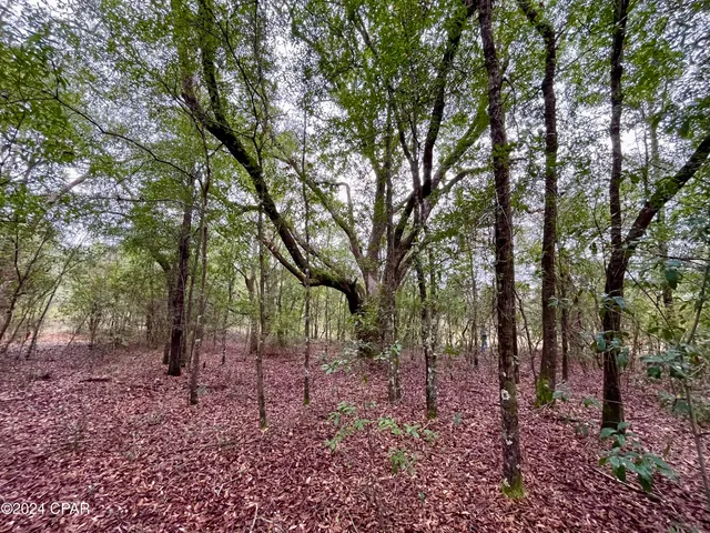 $9,500 | Lot 12 Janet Circle, Chipley, FL 32428