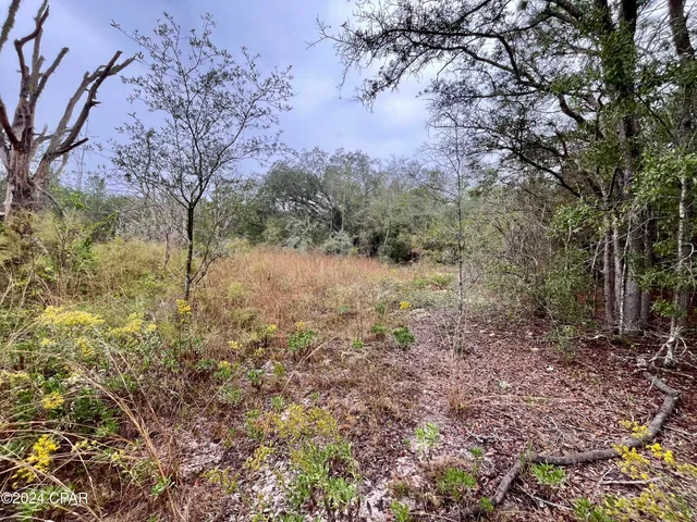 $9,500 | Lot 12 Janet Circle, Chipley, FL 32428