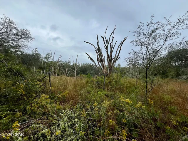$9,500 | Lot 12 Janet Circle, Chipley, FL 32428