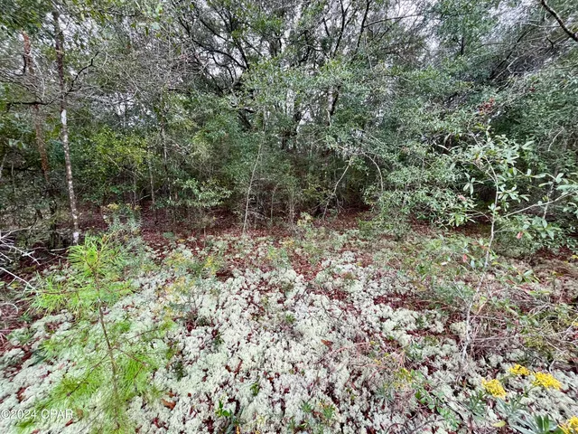 $9,500 | Lot 12 Janet Circle, Chipley, FL 32428