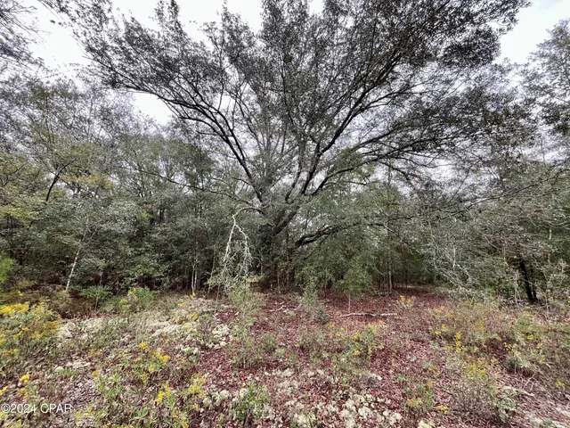 $9,500 | Lot 12 Janet Circle, Chipley, FL 32428