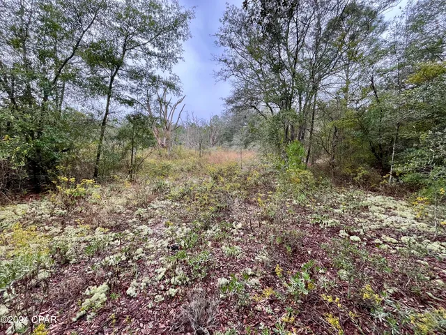 $9,500 | Lot 12 Janet Circle, Chipley, FL 32428