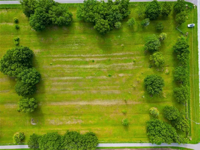 a view of a park with large trees