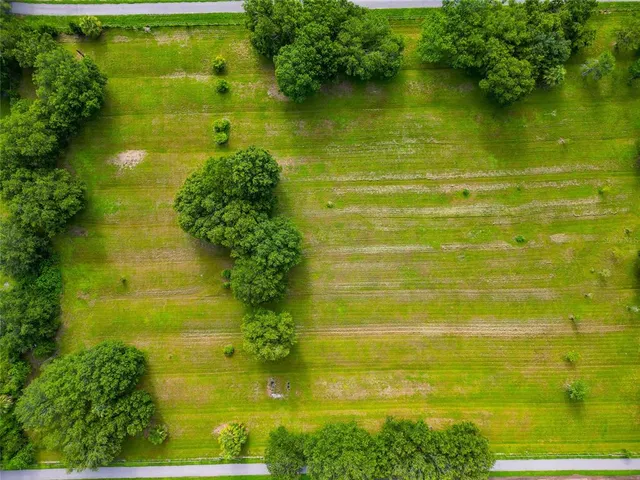a view of a grassy field with an trees