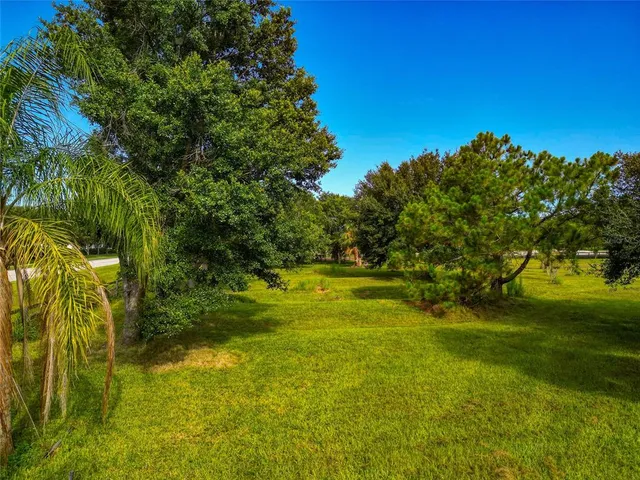 a view of yard with green space