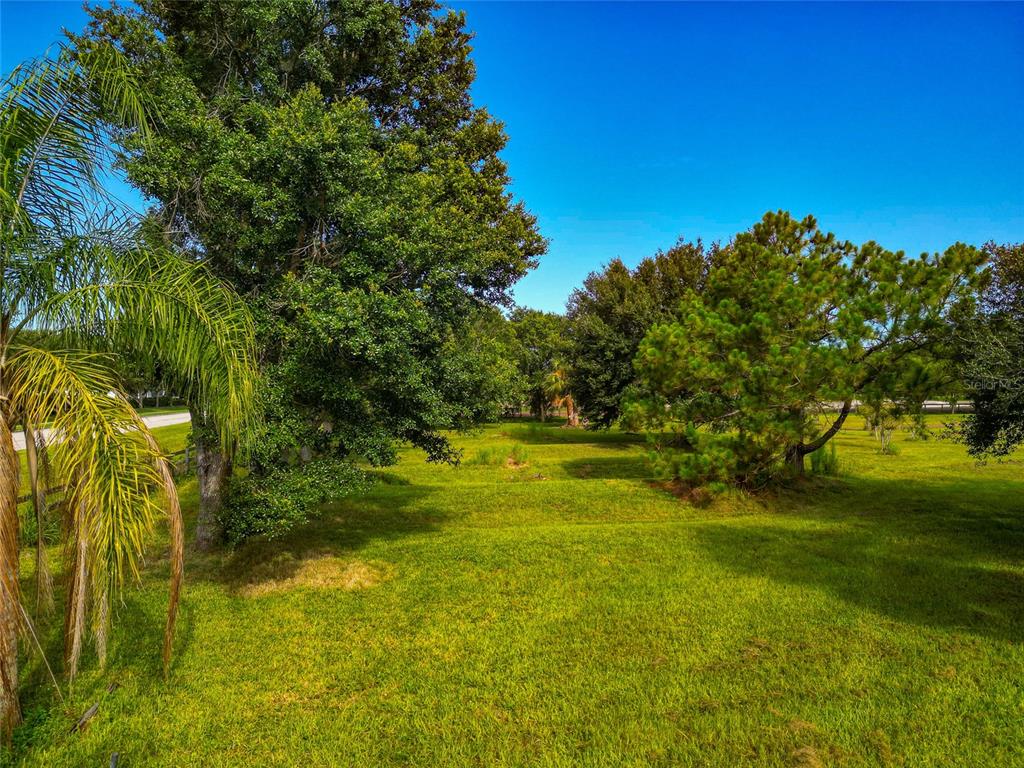 13210 Mulholland Road Parrish, FL 34219 - Photo 4 of 28 a view of yard with green space