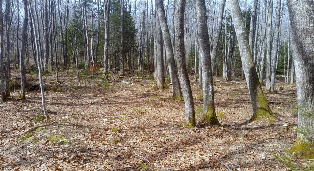M4-e L234-1 Pinkham Road New Harbor, ME 04554 - Photo 11 of 13 Photo