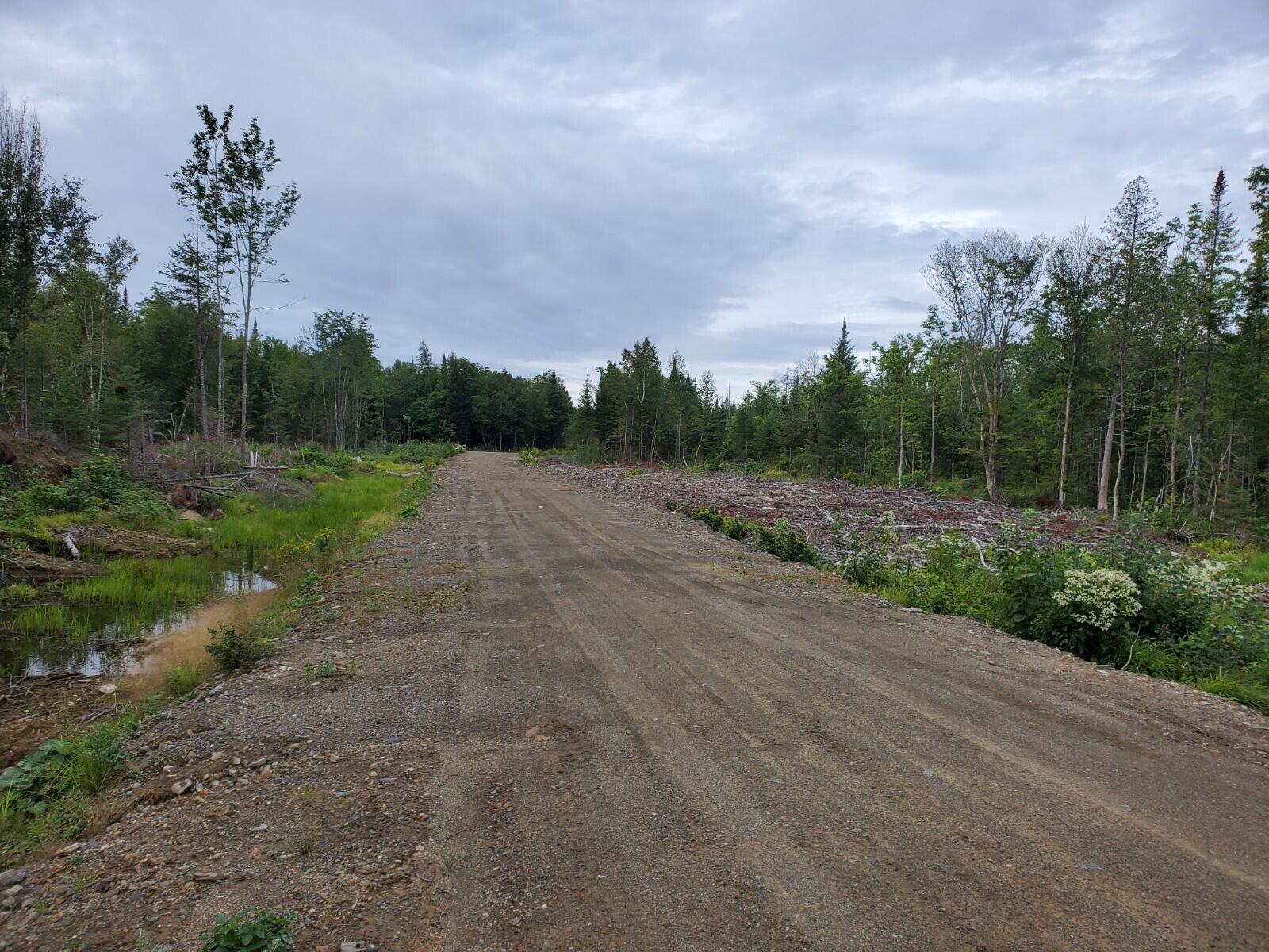 Tbd Tbd Woods Rd Mount Mount Chase, ME 04765 - Photo 3 of 6 20210818_103101