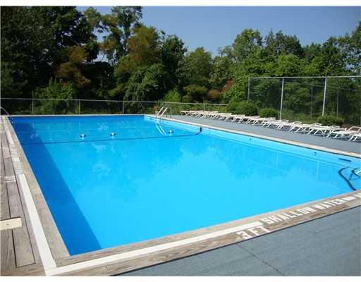 2305 Kenzie Road Pittsburgh, PA 15205 - Photo 12 of 15 Swimming Pool/Hot Tub/Sauna.