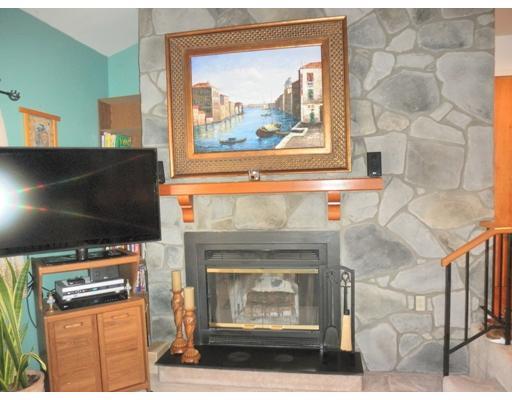 2305 Kenzie Road Pittsburgh, PA 15205 - Photo 3 of 15 Living Room. Sunken Living Room with Log Burning Fireplace and stone surround.