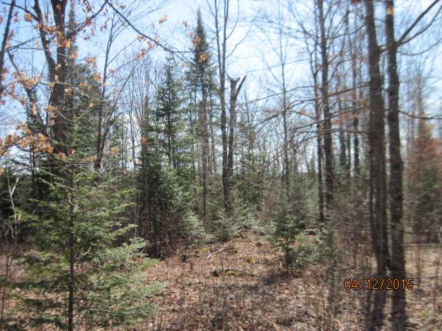 16616 River Rd Rd Park Falls Park Falls, WI 54552 - Photo 12 of 12 Gallery Image 12