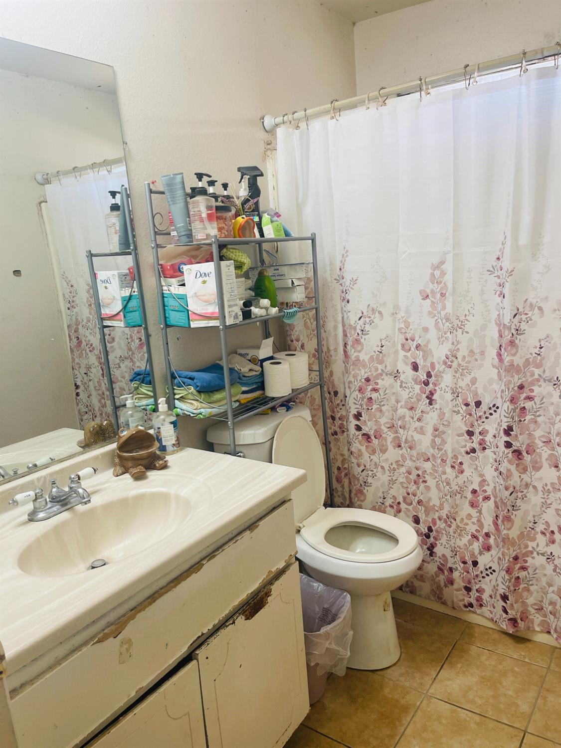17260 Rodeo Drive Madera, CA 93638 - Photo 13 of 19 a bathroom with a sink a toilet and shower curtain