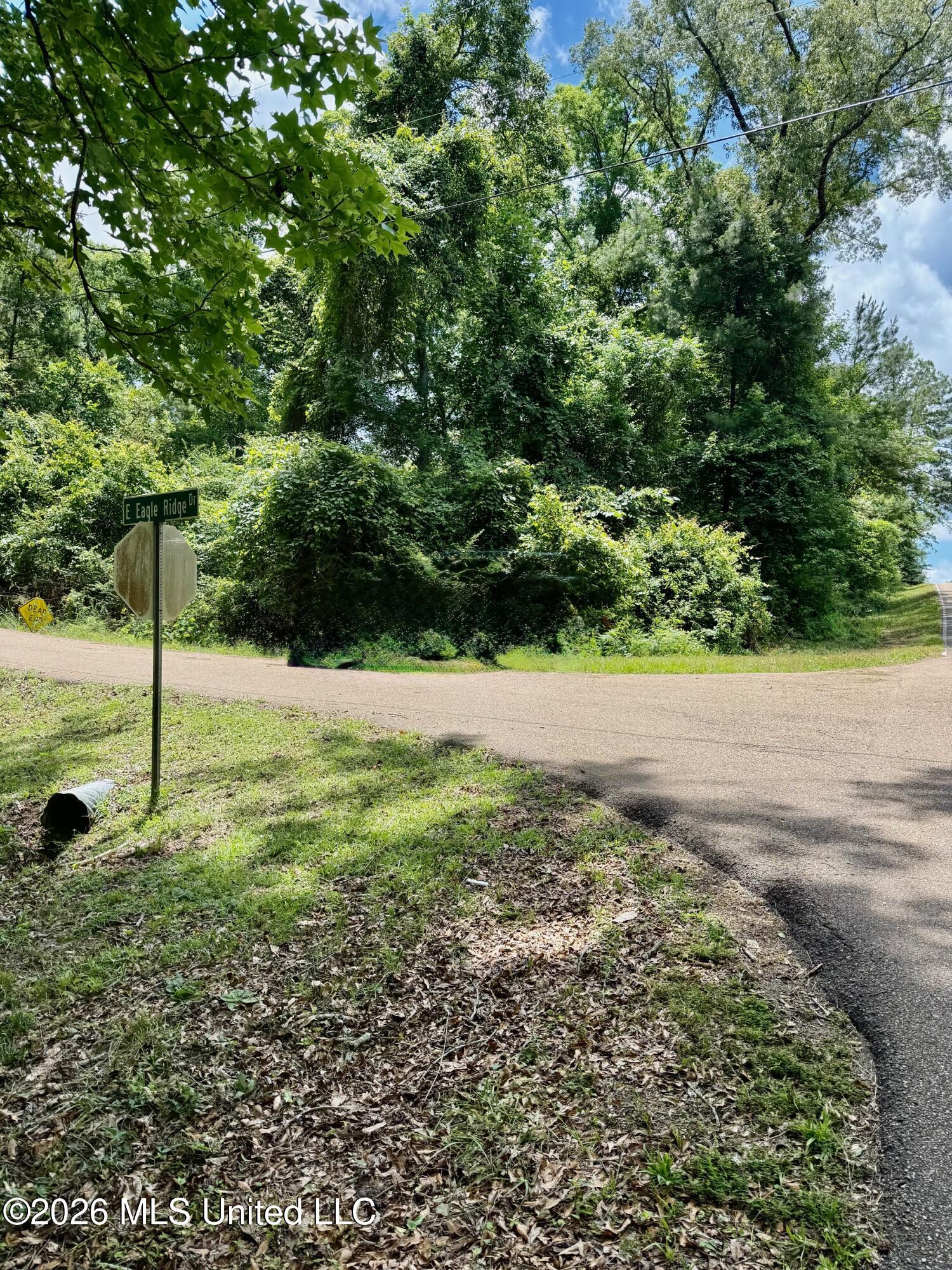South Eagle Ridge Drive Florence, MS 39073 - Photo 2 of 8 IMG_0874
