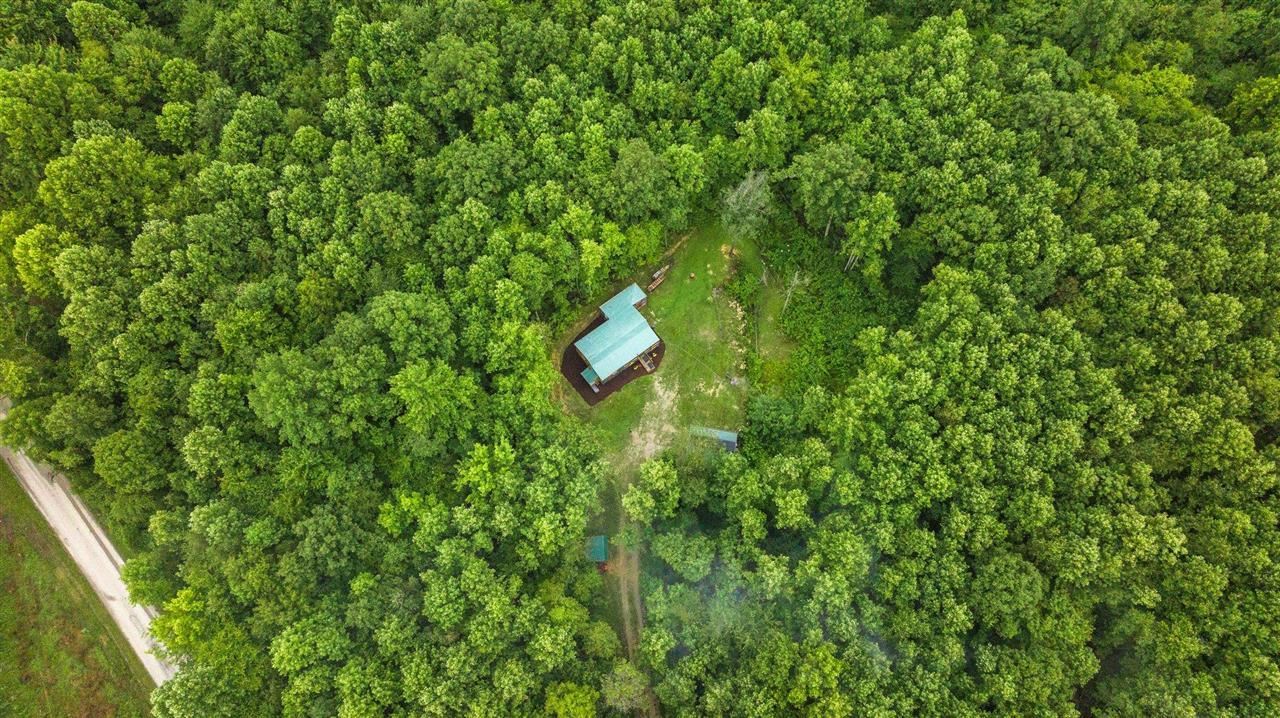367 Martin Pierce Road Cub Run, KY 42729 - Photo 4 of 23 Gallery Image 4