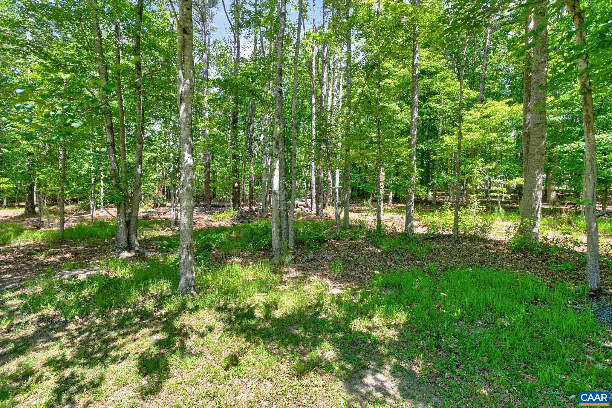 504 Willow Ridge Road Troy, VA 22974 - Photo 35 of 35