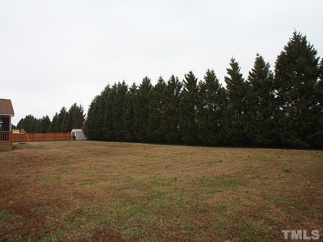 1017 Holland Ridge Drive Raleigh, NC 27603 - Photo 22 of 24 a view of a field with trees in background
