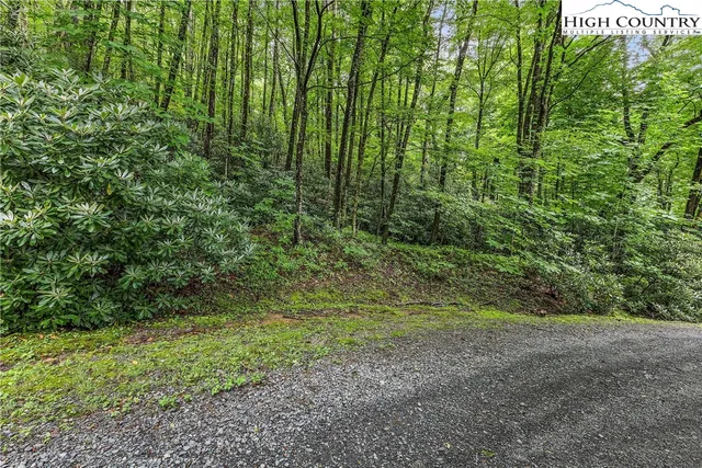 $26,000 | Black Bear Trail, Blowing Rock, NC 28605