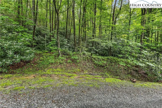 $26,000 | Black Bear Trail, Blowing Rock, NC 28605