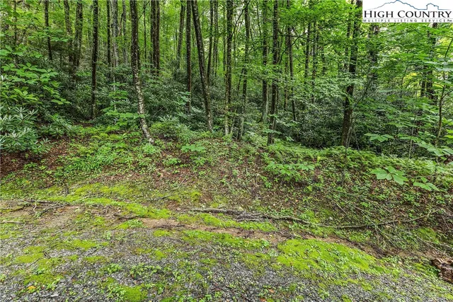 $26,000 | Black Bear Trail, Blowing Rock, NC 28605