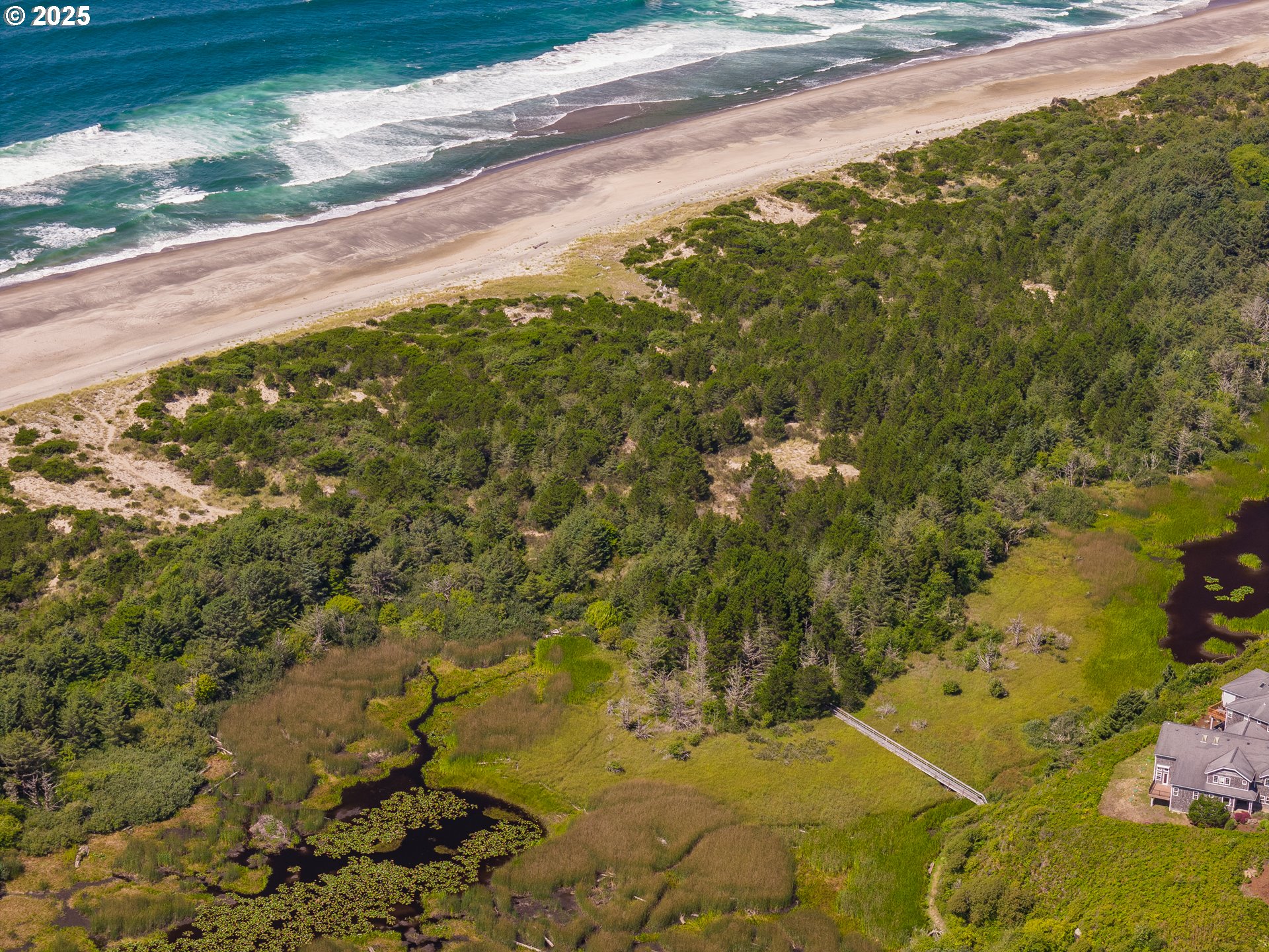 6485 Heron View Neskowin, OR 97149 - Photo 32 of 46 a view of a yard